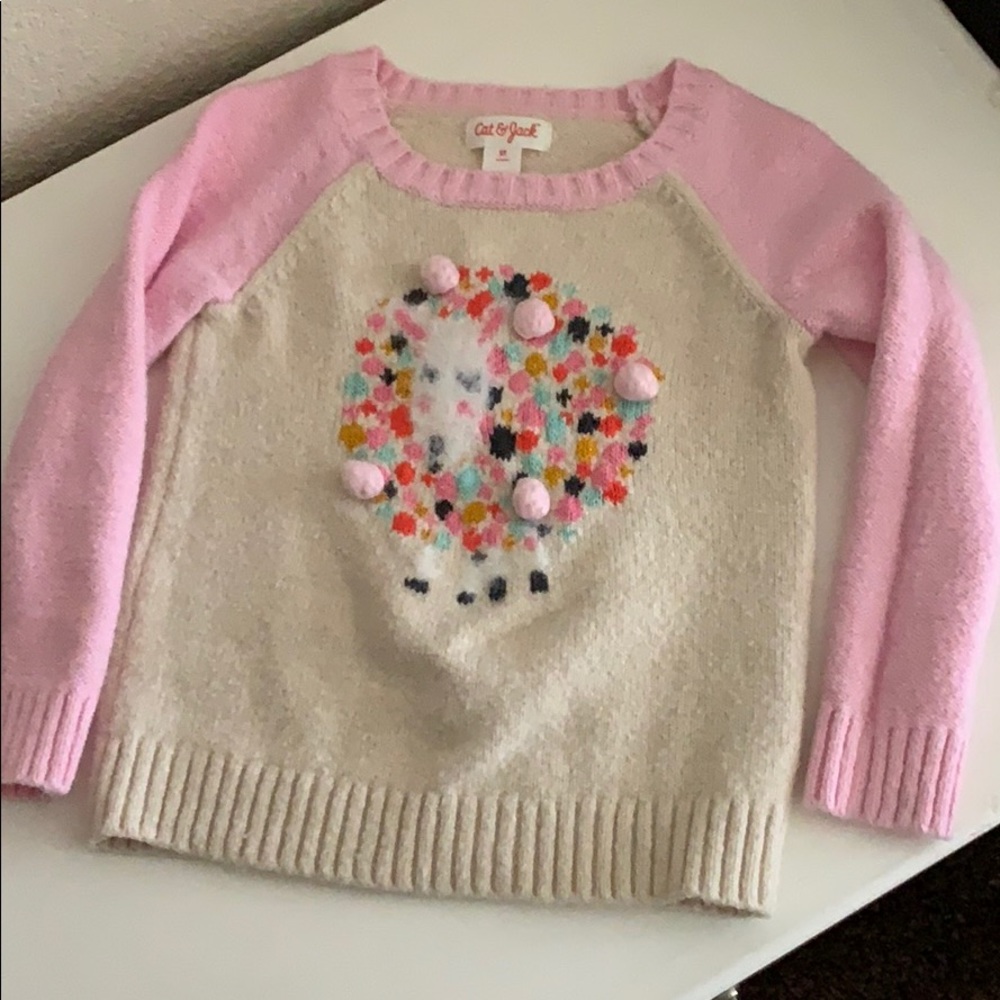 {Cat & Jack} 🌸🌈 Toddler sweater